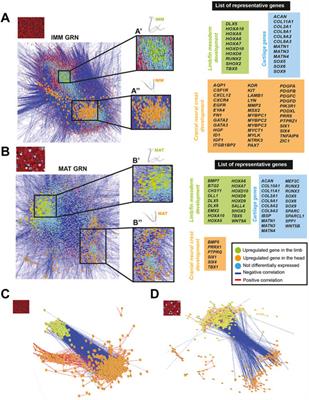 Limb Mesoderm and Head Ectomesenchyme Both Express a Core Transcriptional Program During Chondrocyte Differentiation